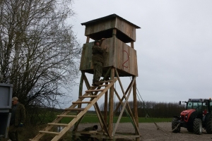 budowa10