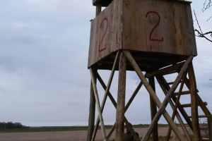 budowa12
