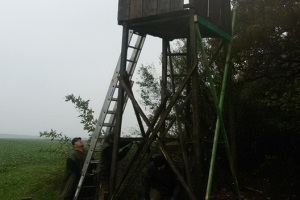 budowa24