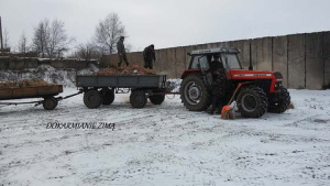 Dokarmianie zima