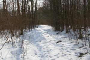 śnieg jeszcze leży, ale to już marzec