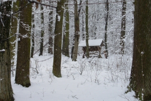 paśnik