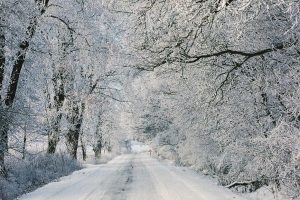 szadź