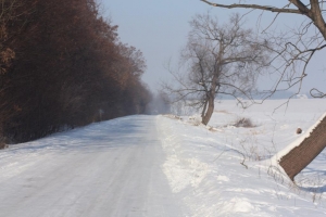szosapodlasemwoleskim