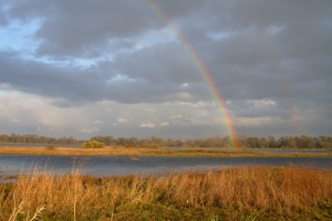 tęcza nad Bugiem