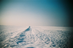 zimowe pole