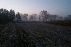 rozne7